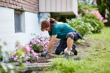 Planting i hagen